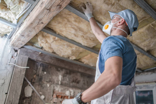 Best Insulation Maintenance and Repair in Fifth Street, TX